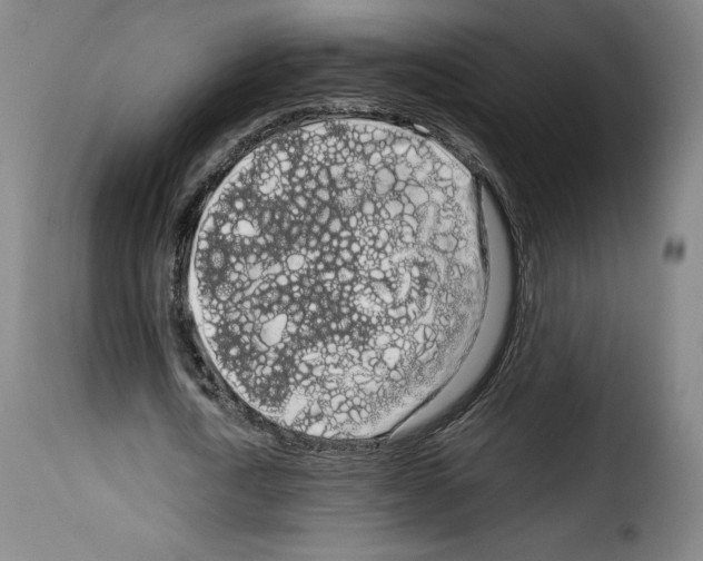 X0000114190722200911200935