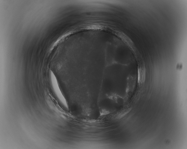 X0000114190723200911200935