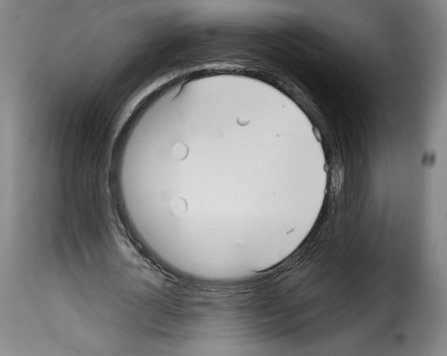 X0000114190724200911200935