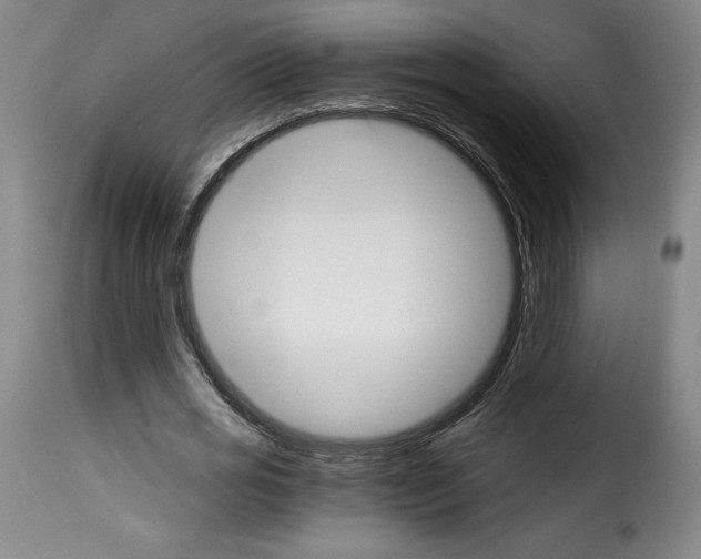 X0000114190725200911200936
