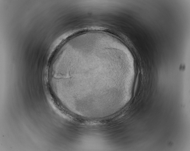 X0000114190726200911200936