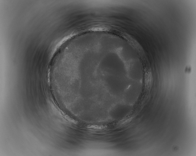 X0000114190727200911200936