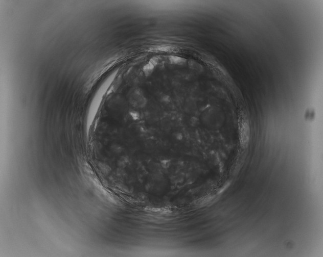 X0000114190729200911200936