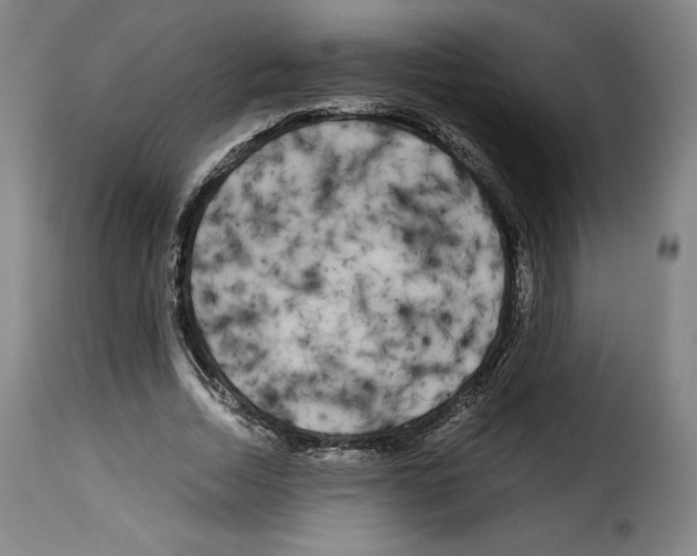 X0000114190730200911200936