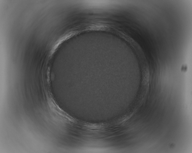X0000114190731200911200936