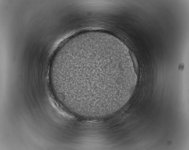 X0000114190732200911200936