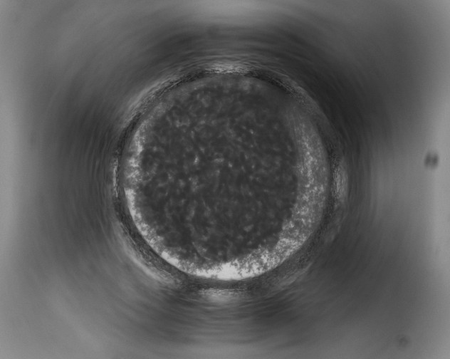 X0000114190733200911200936