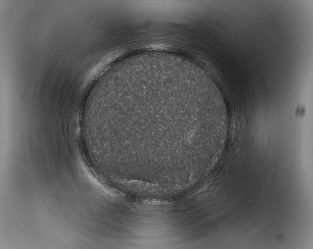 X0000114190734200911200936