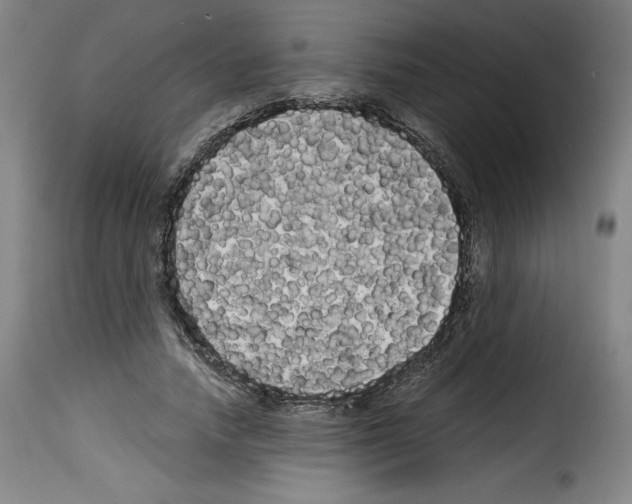 X0000114190738200911200936
