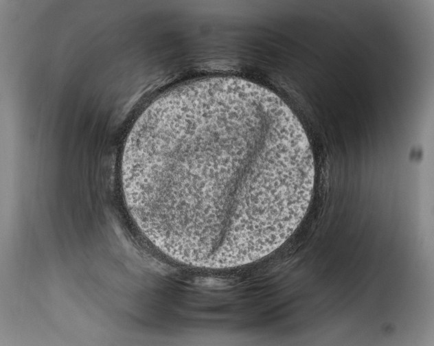 X0000114190739200911200936