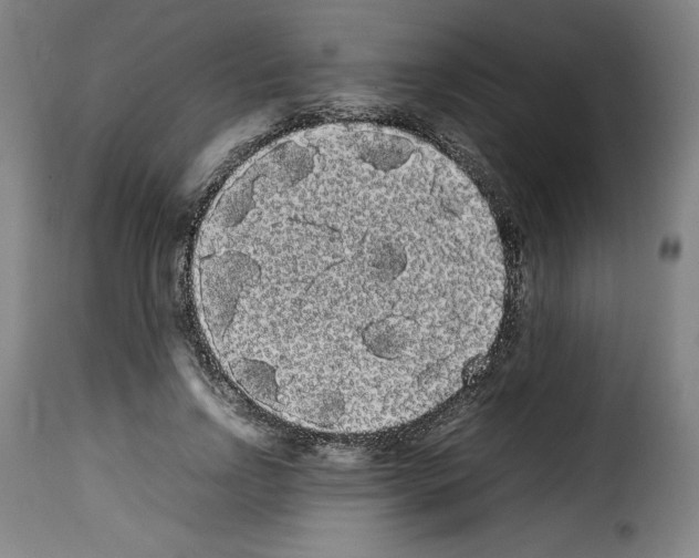 X0000114190742200911200936