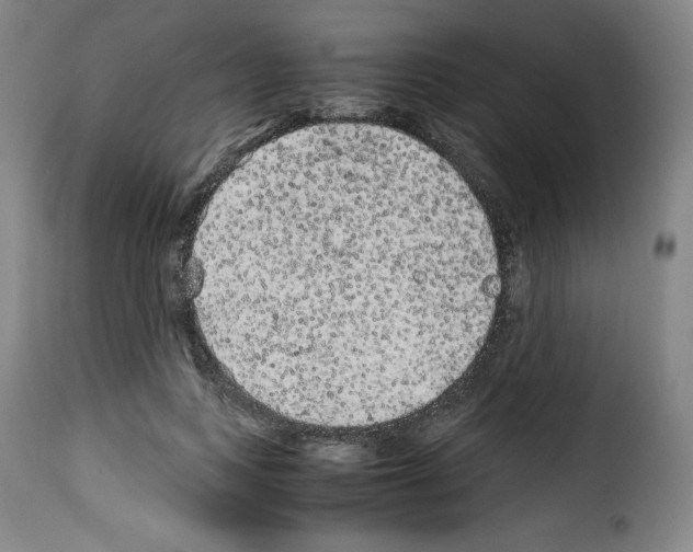 X0000114190743200911200936