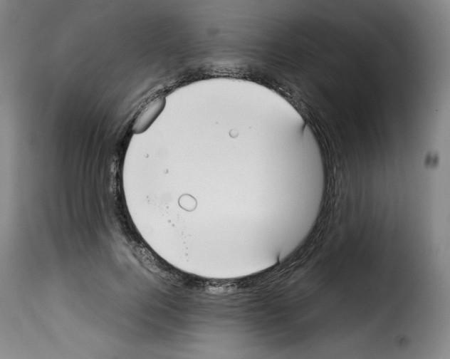 X0000114190744200911200936
