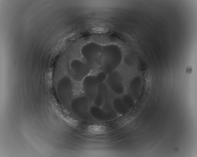 X0000114190745200911200936