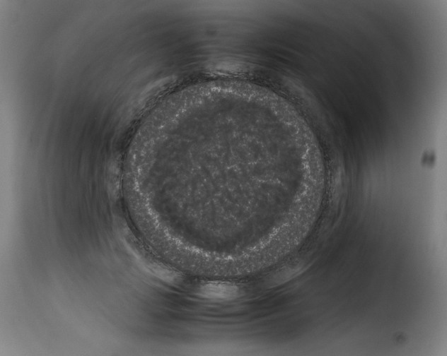 X0000114190749200911200936