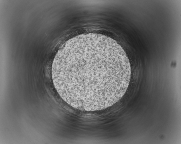 X0000114190755200911200936