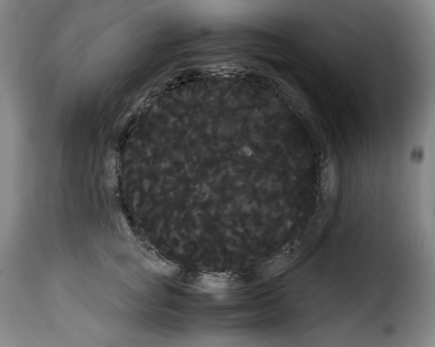 X0000114190757200911200936