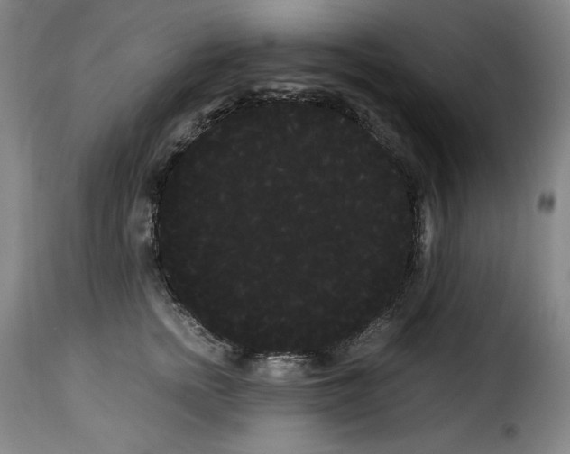 X0000114190758200911200936