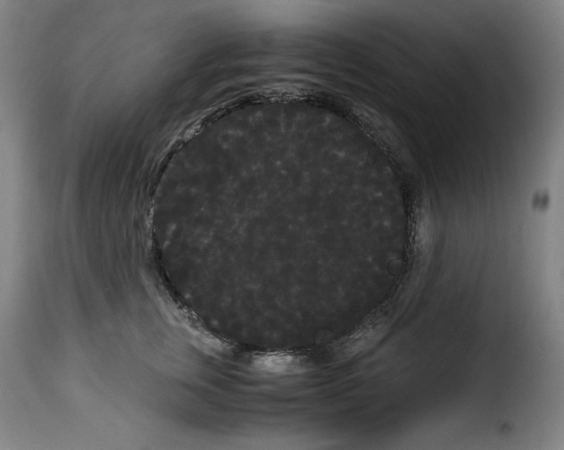 X0000114190759200911200936