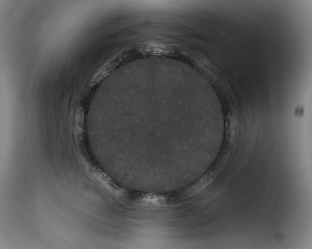 X0000114190760200911200936