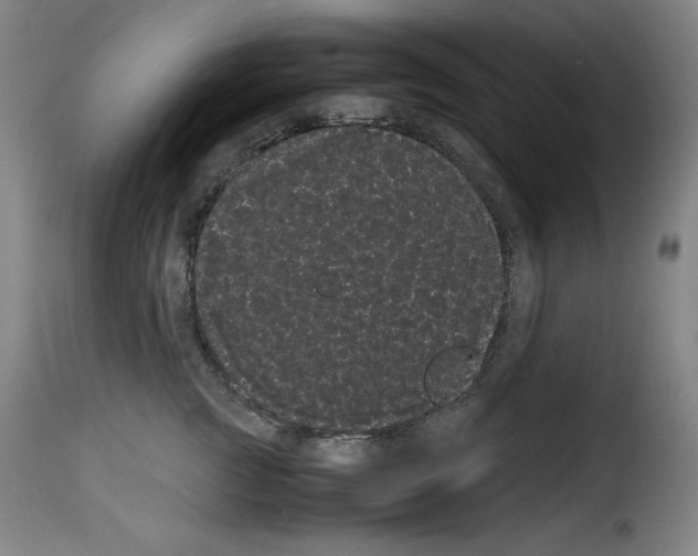 X0000114190761200911200936