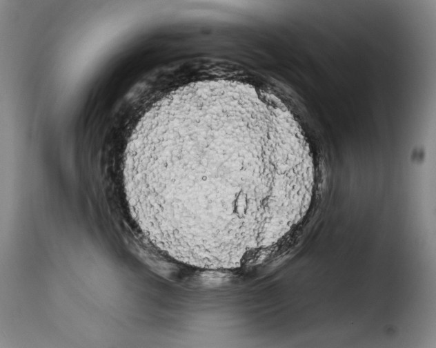 X0000114190762200911200936