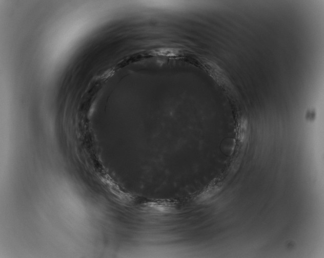 X0000114190763200911200936