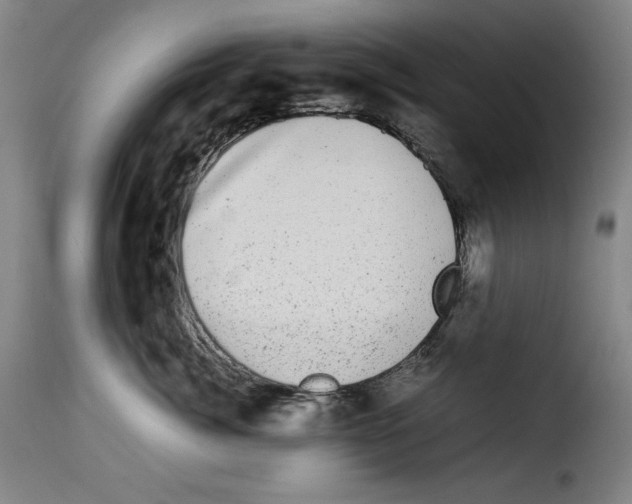 X0000114190764200911200936