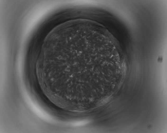 X0000114190765200911200936