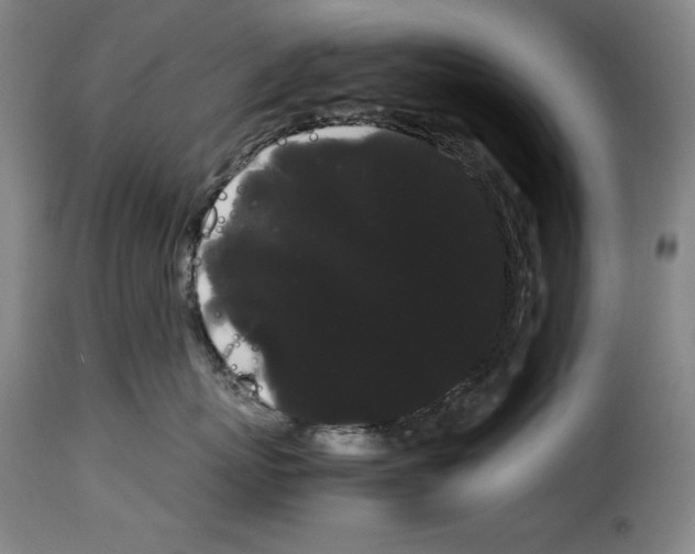 X0000114190767200911200936