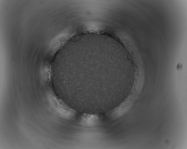 X0000114190768200911200936