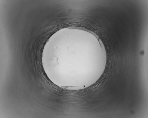 X0000114190769200911200935