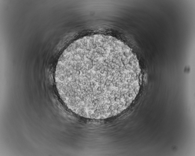 X0000114190771200911200935