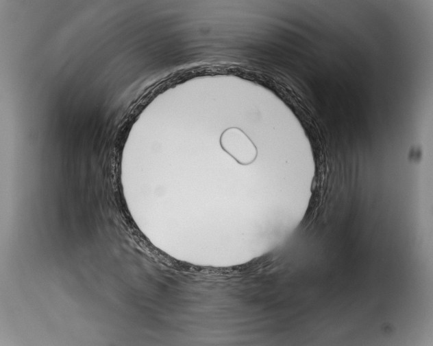X0000114190773200911200935