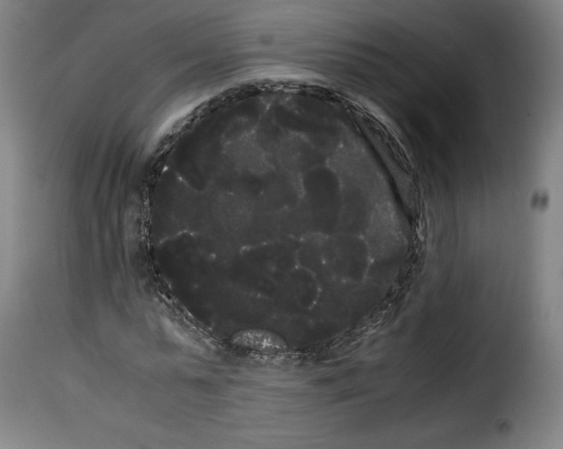 X0000114190775200911200935