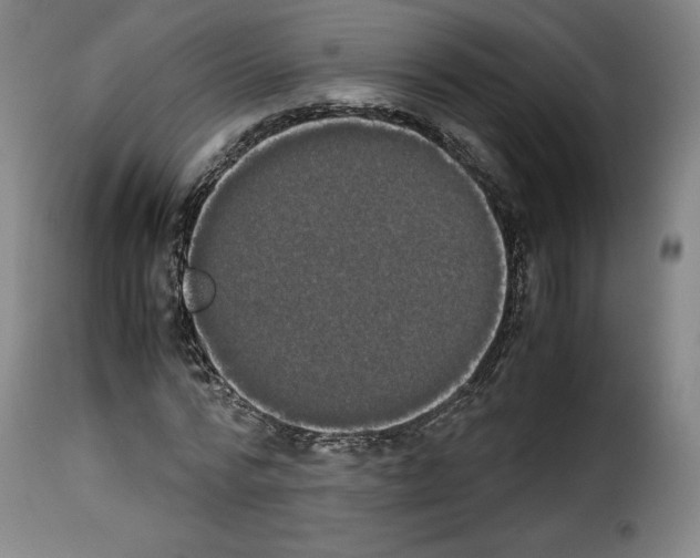 X0000114190776200911200935