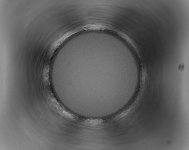 X0000114190778200911200935