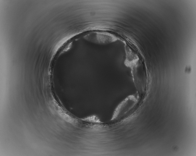 X0000114190779200911200935