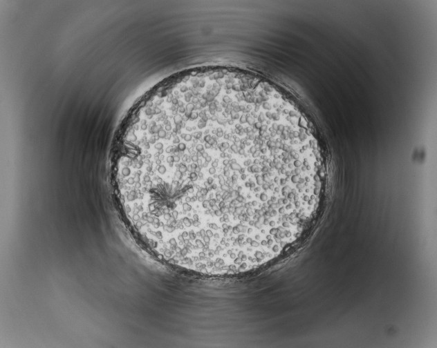 X0000114190780200911200935