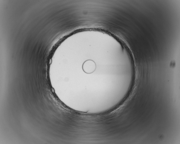 X0000114190781200911200935