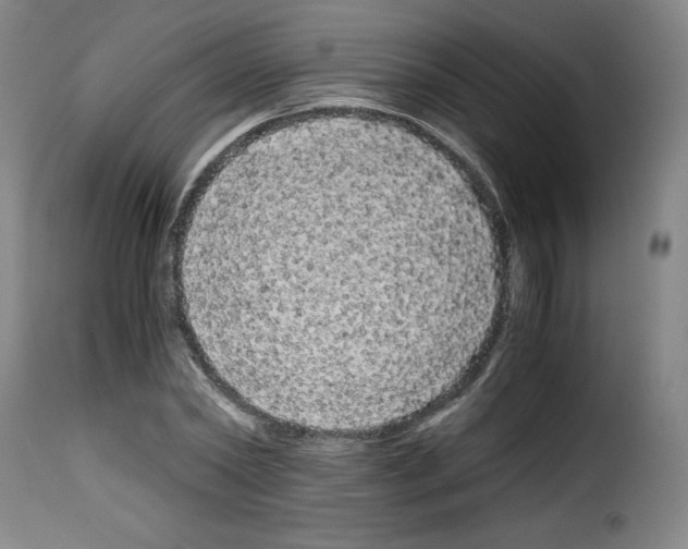X0000114190782200911200935