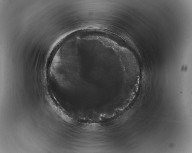 X0000114190784200911200935