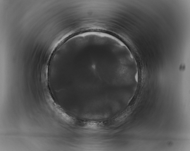 X0000114190790200911200935