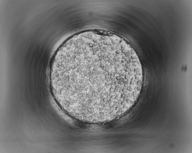 X0000114190796200911200935