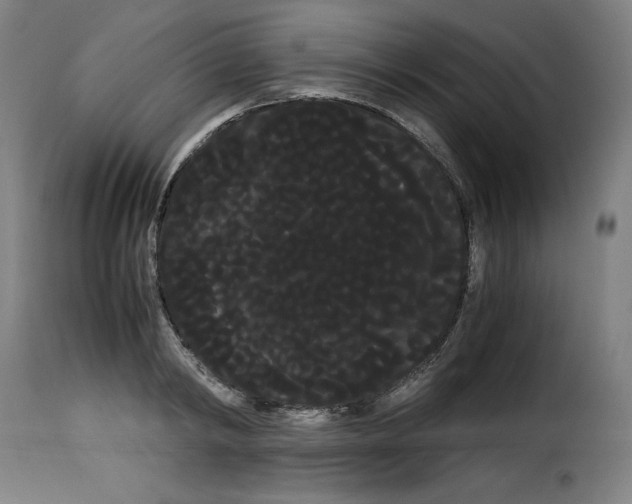 X0000114190798200911200935