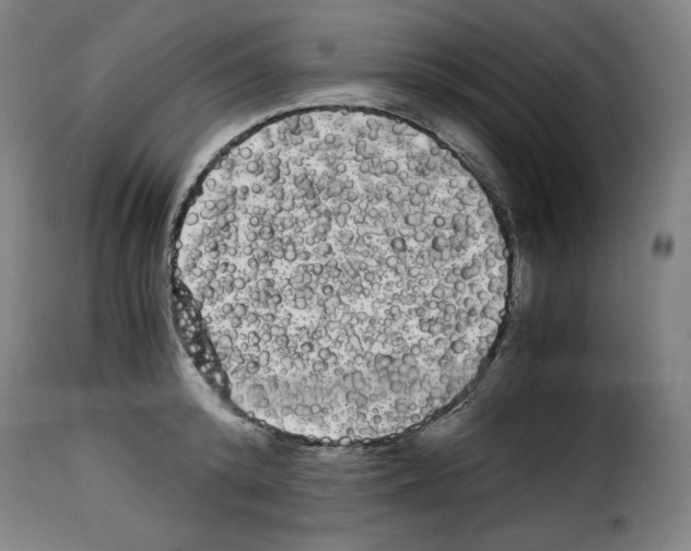 X0000114190800200911200935