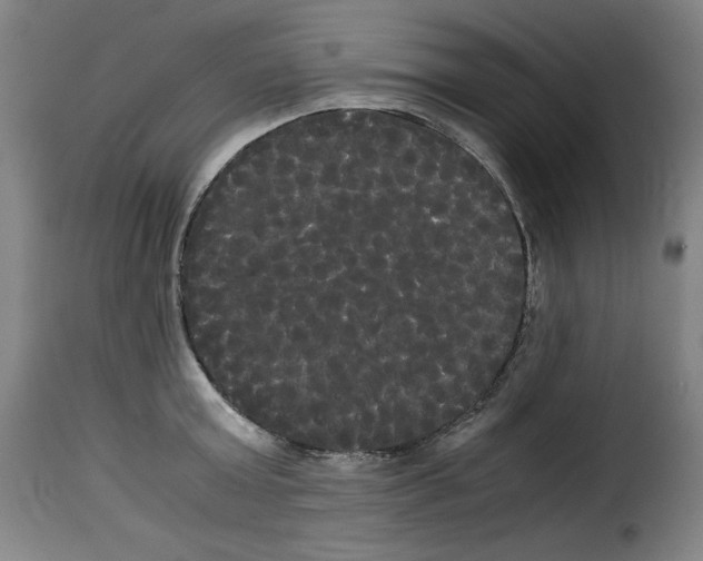 X0000114190803200911200935