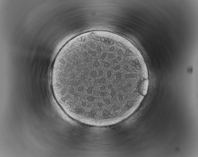 X0000114190804200911200935