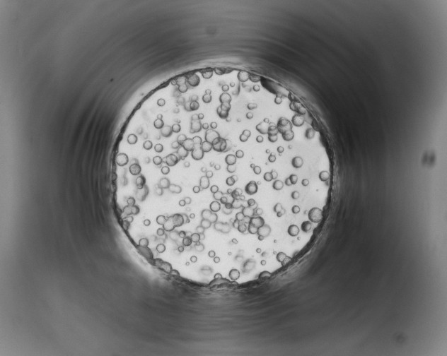 X0000114190808200911200935