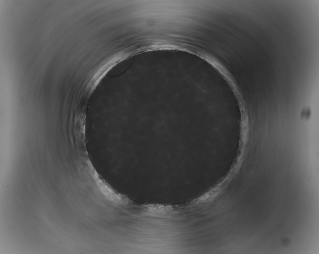 X0000114190809200911200935